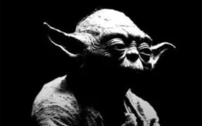 Vad kan socialtjänsten lära av Yoda i Starwars?