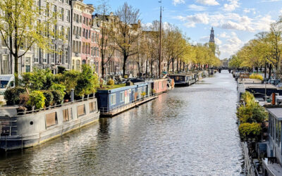 Kan vi lära av Nederländerna för att fortsätta bygga starka och demokratiska lokalsamhällen?